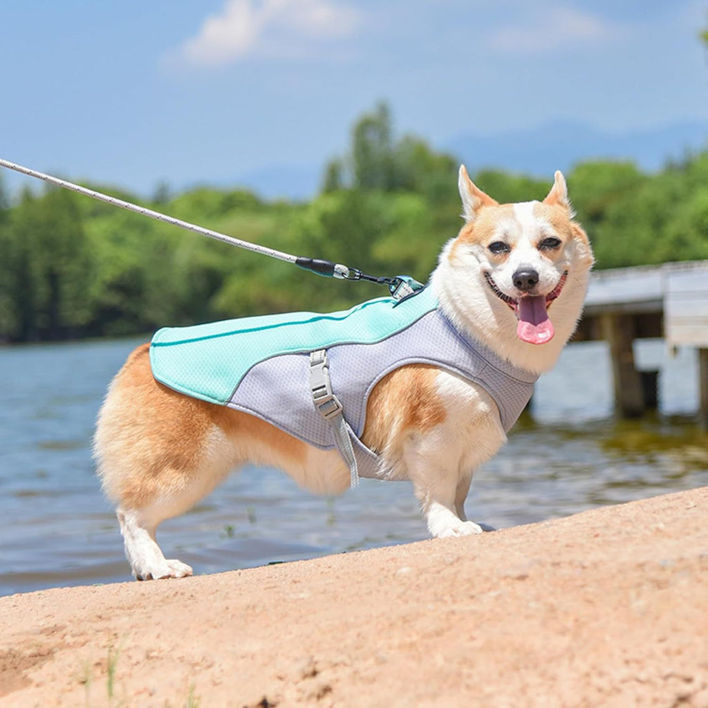 Pechera Cooling Respirable Ajustable para Perro